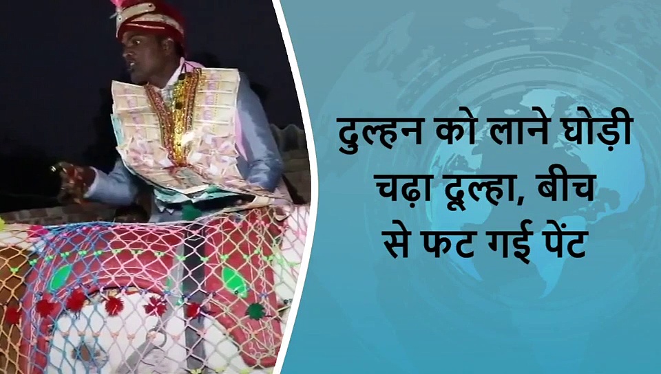 5 वायरल खबरें: दुल्हन को लाने घोड़ी चढ़ा दूल्हा, बीच से फट गई पेंट