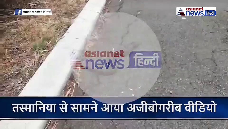 एक सांप ने दूसरे सांप को निगल लिया...कभी देखा है ऐसा अजीबोगरीब वीडियो...