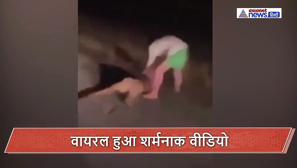 जमीन पर घायल तड़प रहा था बेजुबान, मदद की जगह दरिंदों ने कर दी मुक्कों की बरसात