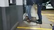 Guarda Municipal detém indivíduo suspeito de agredir mulher por desacato