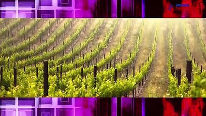 It's Entertainment: From Virushka's wedding and Mohanlal's new lean look to Sherlyn Chopra's eye-popping pictures, we have it all in this episode