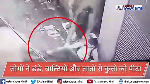 ट्यूशन पढ़कर साइकिल से घर लौट रहा था बच्चा, अचानक पिटबुल ने कर दिया अटैक, शॉकिंग CCTV फुटेज