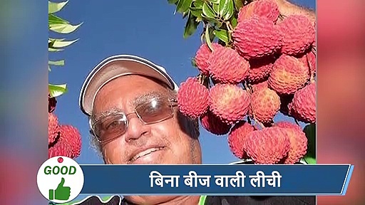 5 वायरल खबरें : बेजुबान को शख्स ने हॉकी स्टिक से मारा और पिता ने मासूम को पिलाई शराब