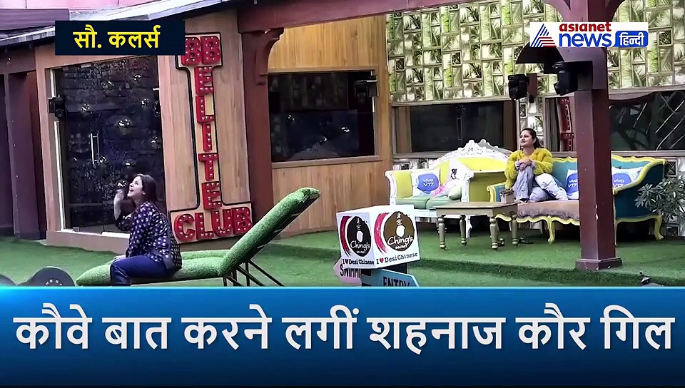 सिद्धार्थ से दूर होते ही सदमे में शहनाज, कोई नहीं मिला तो करने लगीं कौवे से बात, फनी वीडियो