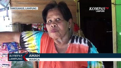 Banjir Rob Rusak Rumah Warga dan Robohkan Pohon