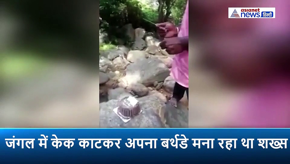 जंगल में बर्थडे मनाना पड़ा महंगा, काटा ही था केक, अचानक जानवर ने कर दिया हमला