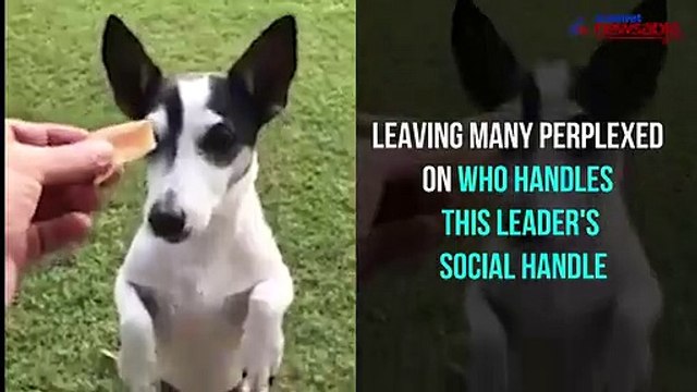 Rahul Gandhi's response on who handles his tweet will make your day