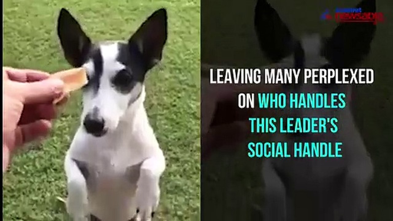 Rahul Gandhi's response on who handles his tweet will make your day