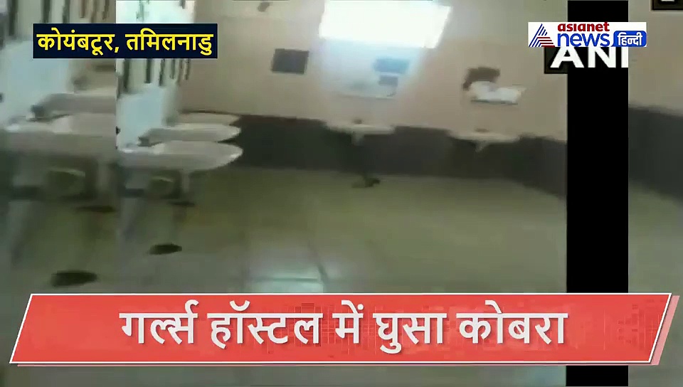 गर्ल्स हॉस्टल के बाथरूम की बेसिन में छिपी मौत से अनजान थी लड़कियां, तभी...