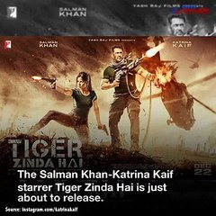 Salman Khan and Katrina Kaif share a history, but in this photoshoot, their chemistry was cold as ice