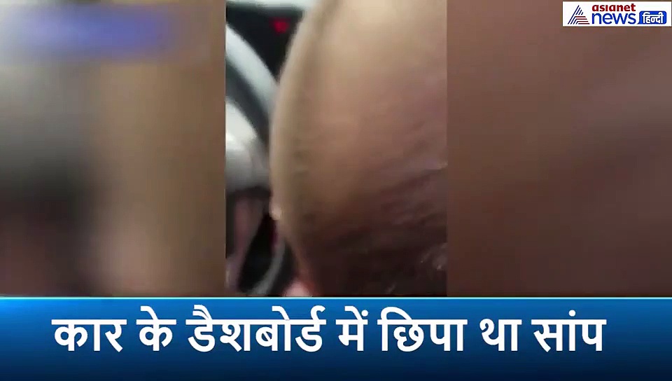 कार की डैशबोर्ड में छिपकर बैठी थी मौत, महिला को बनाना चाहती थी अपना शिकार