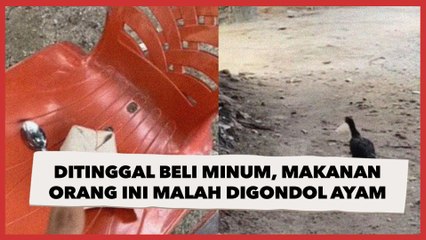 Tinggalkan Makanan untuk Beli Minum, Warganet Ini Berakhir Apes karena Seekor Ayam
