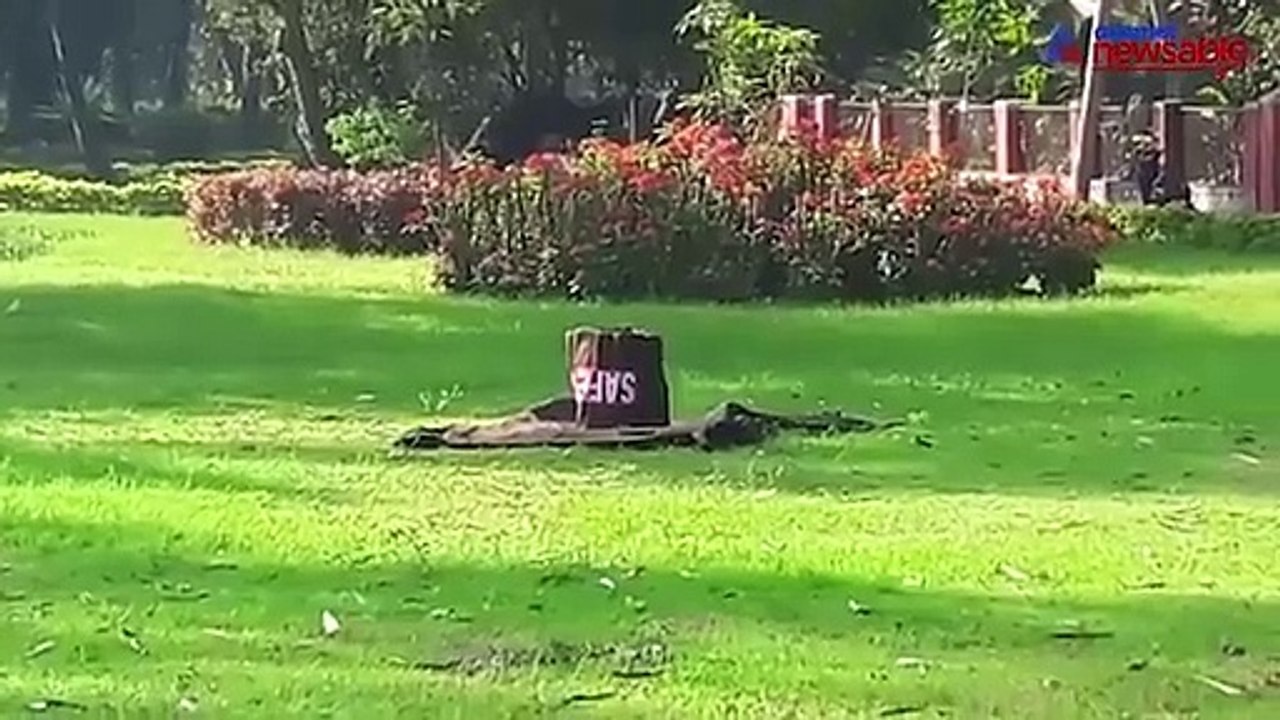 Live bomb recovered from Mysuru, auto driver helps avert tragedy