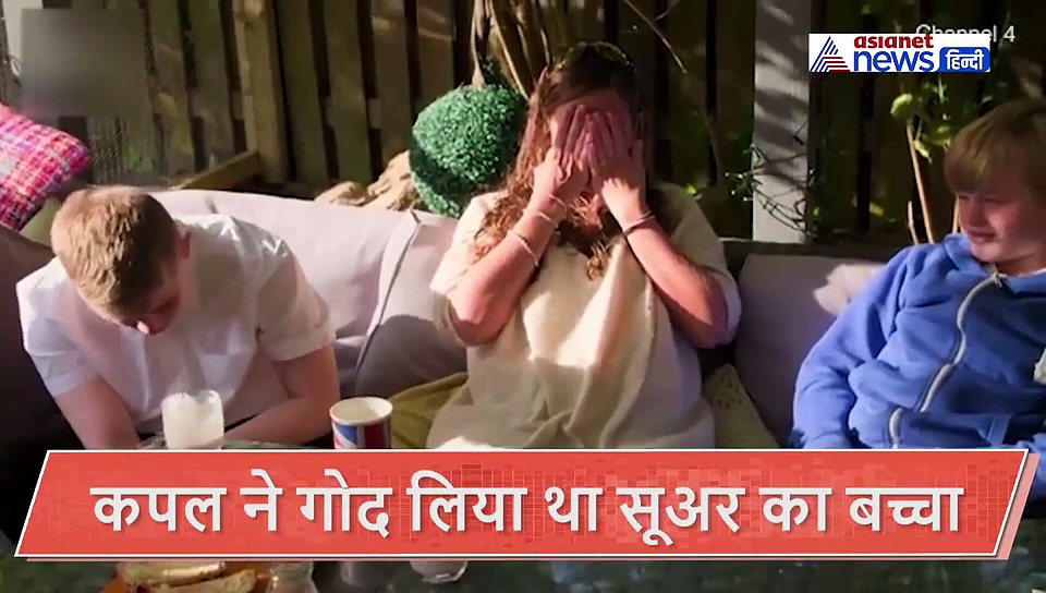 कपल ने गोद लिया था लिया सूअर का बच्चा, फिर वो किया जिसकी नहीं थी उम्मीद