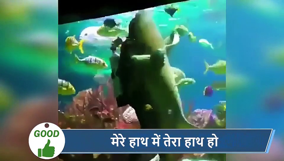 5 वायरल खबरें: बाल कटवाने गया था बच्चा, नाई ने काट दिए कान