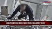 Watch: Thieves carried out a daring heist on a moving cargo truck