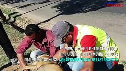 Meet the man who gives stray dogs a decent burial