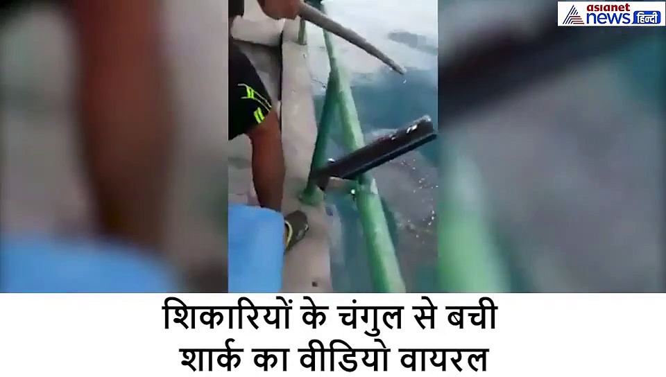 मछुआरों के नजदीक पहुंची खतरनाक शार्क, देखते ही भर आई लोगों की आंखें