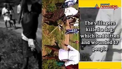 17 villagers were bitten and wounded by a dog in Karnataka