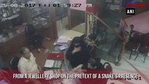 Burqa-clad women  scares jeweller with snake; stole gold jewellery worth Rs. 5 lakh
