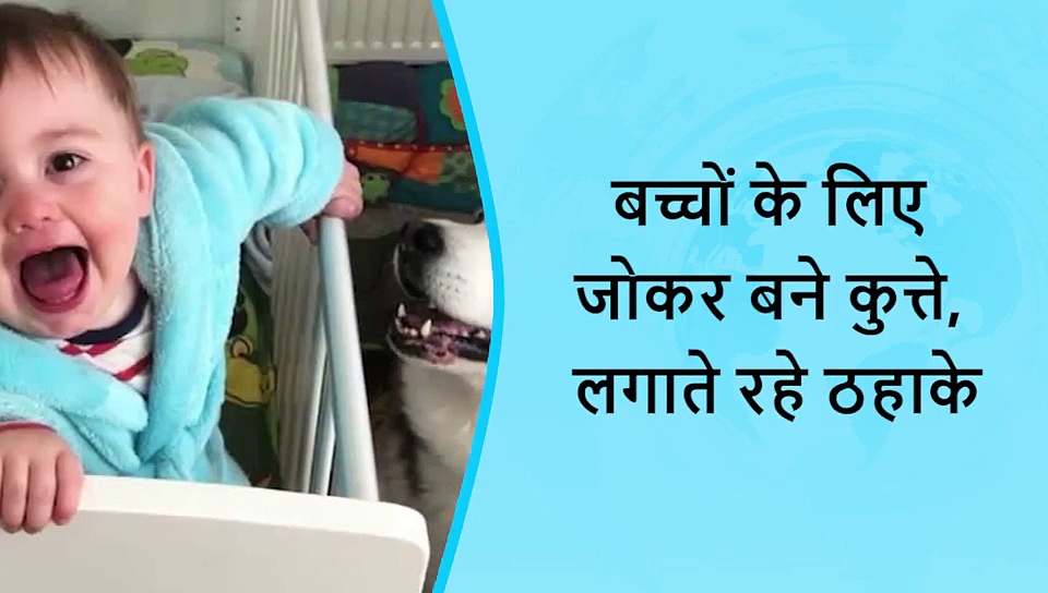 5 वायरल खबरें: पागल कुत्ता नोच रहा था बच्चे का शरीर, अचानक कूद पड़ा बहादुर