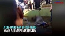 Fan attempts to commits suicide