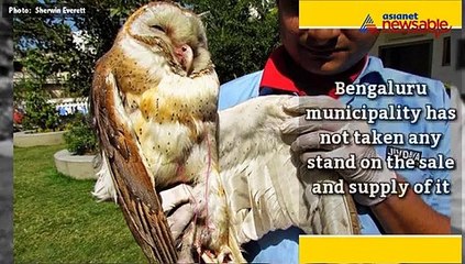 The lives of Bengaluru's birds hang by a thread, quite literally