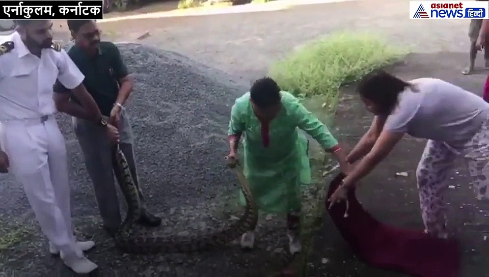 देखकर दहशत में थे लोग, लेकिन आर्मी ऑफिसर की पत्नी ने एक हाथ से पकड़ लिया 20 किलो का अजगर