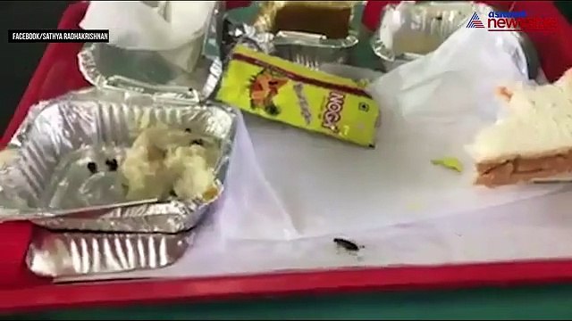 Watch: Live cockroach in breakfast served on Shatabdi Express