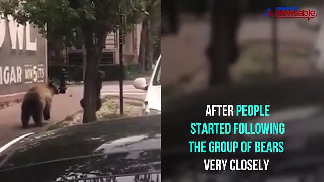 Here's why the police warn public from taking selfies with bears