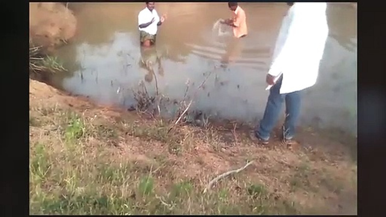 Dalits abused and tortured for questioning Neta