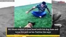 Watch: MS Dhoni playing mirror with his pet dog