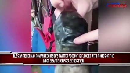 Russian fisherman's bizarre deep sea catch is quite scary