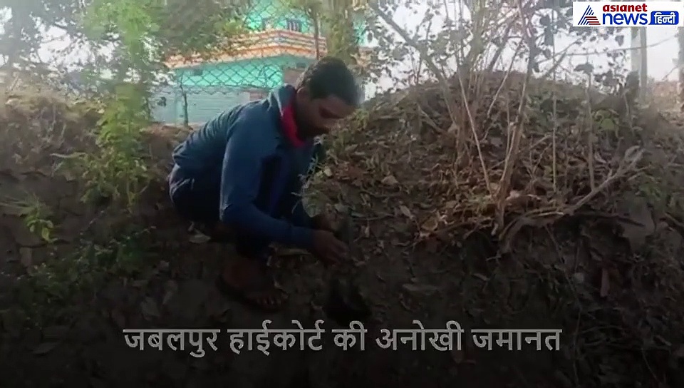 आरोपी को जमानत तो मिल गई लेकिन एक अनोखी शर्त पूरा करने के बाद...