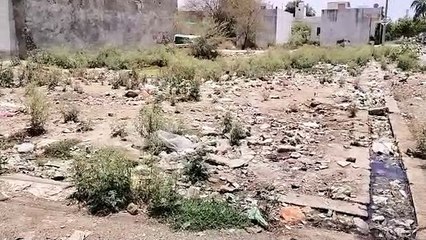 कॉलोनी के खाली भूखंडों पर कचरे के ढेर, जलभराव से आ रही घरों में सीलन