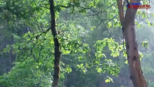 5 states in India that are currently struck by heavy floods