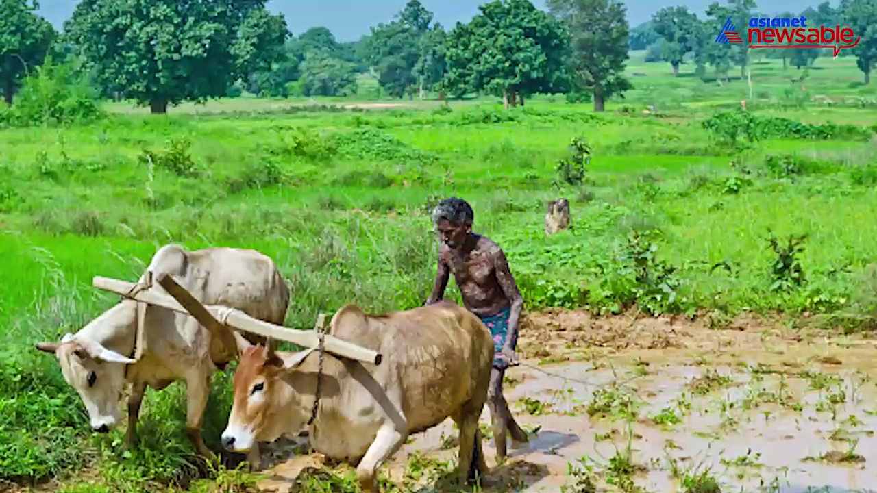 HD Kumaraswamy's visit to all drought-hit districts failed, RTI report reveals
