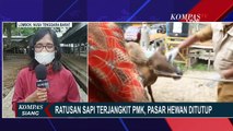 Pasar Hewan Kota Mataram Ditutup Sementara Demi Putus Penularan PMK Pada Sapi dan Hewan Ternak