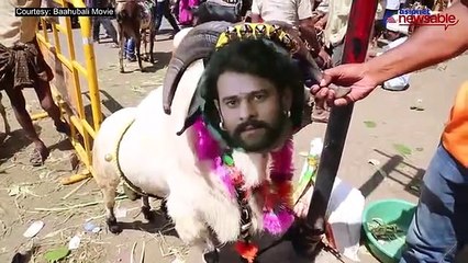 Télécharger la video: Bakrid in Bengaluru is turning out to be a starry affair