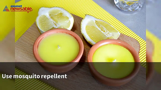 Travel  tips: Seven simple steps to avoid mosquito bites