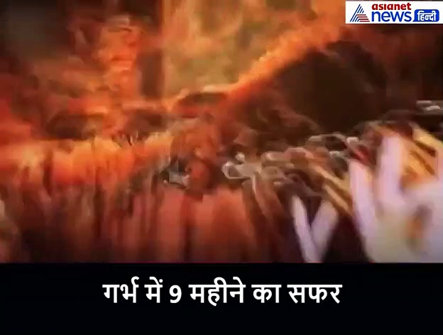 वीडियो: गर्भ में 9 महीने का सफर