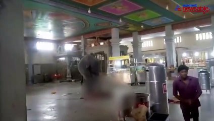Elephant attack