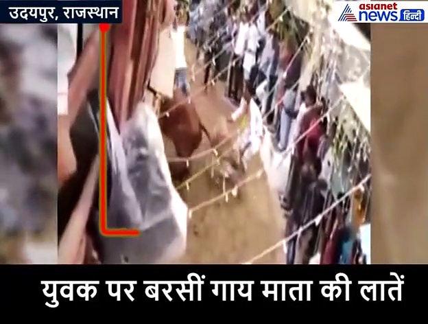 खेल-खेल में लकड़ी से टोंच रहा था युवक, गौमाता ने पटकर ले डाली खबर