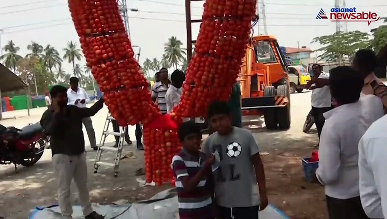 Tomato