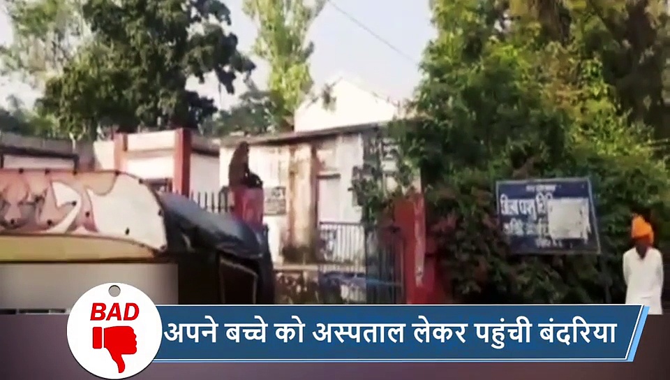 5 वायरल खबरें:बेजुबान के साथ क्रूरता की सारी हदें पार, कुत्ते को कार के पीछे बांधकर घसीट रहा था शख्स