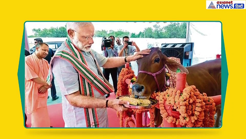 VIDEO: महाराष्ट्र में 5 साल बाद भी कांग्रेस की हालत जस की तस, इन 5 वजहों से पार्टी की हुई बुरी तरह से हार