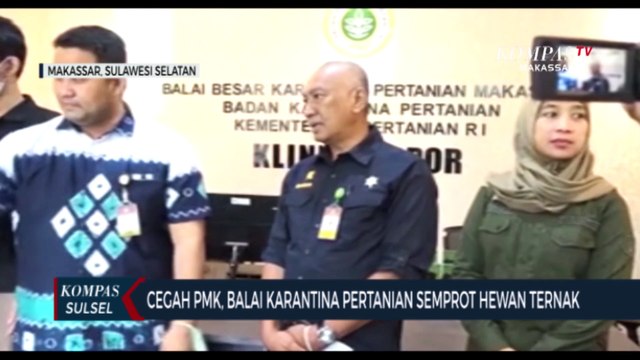 Cegah PMK, Balai Karantina Pertanian Semprot Hewan Ternak