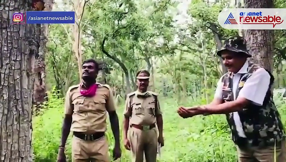 Watch: Video of water oozing from tree bark goes viral