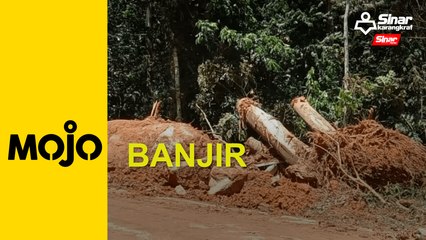 Pembukaan hutan antara penyumbang banjir Johol