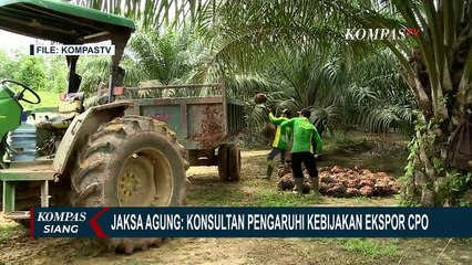 Apa Peran LCW Konsultan Swasta yang Dijadikan Tersangka Baru Kasus Ekspor CPO?